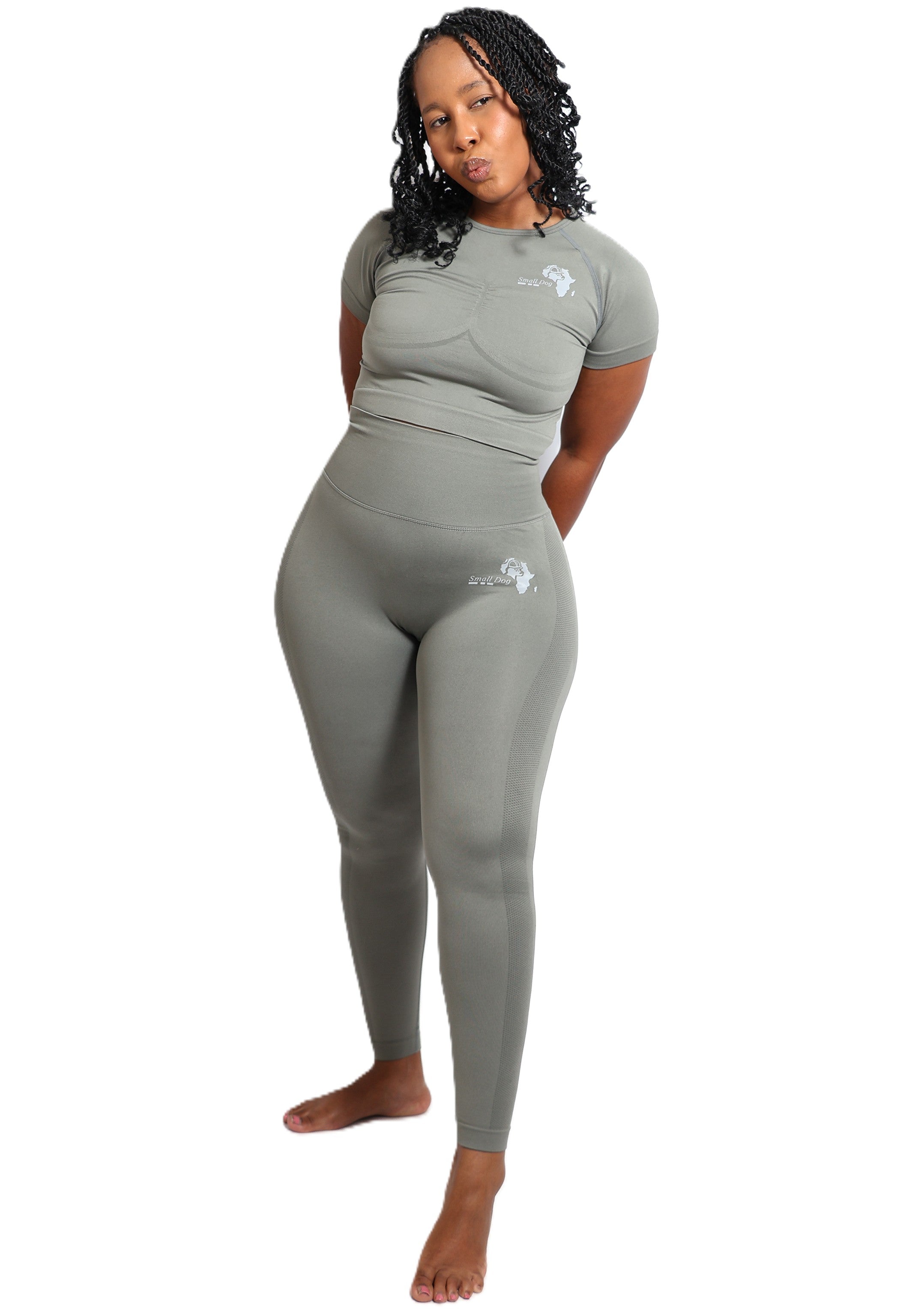Smalldog Holdings - Active Wear - Long Pants - Short Sleeve Athleisure Set